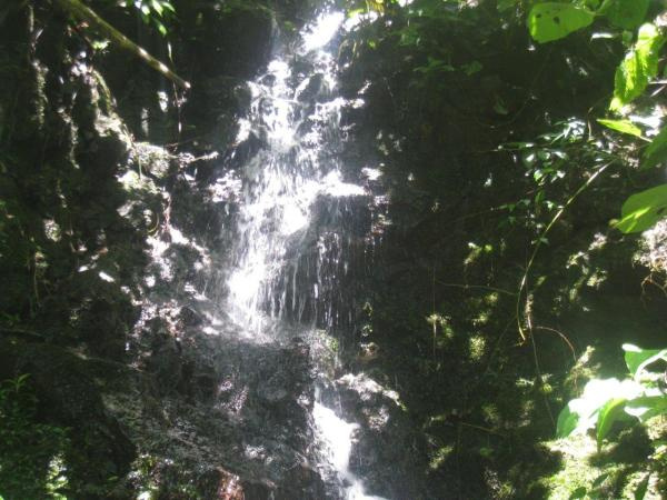 Costa Rica Real Estate - San Vito